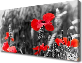 Obraz na płótnie Klasyczne Czerwone Maki