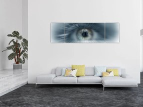 Obraz - Widok oka (170x50 cm)