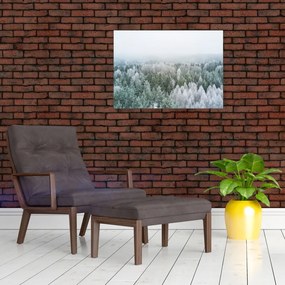 Obraz - Ośnieżone szczyty lasów (70x50 cm)