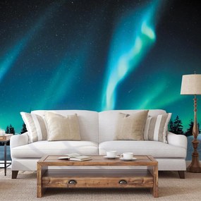 Fototapeta - Aurora Borealis (196x136 cm)