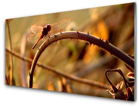 Panel Kuchenny Ważka Natura Roślina