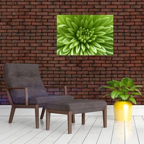 Obraz na szkle - Obraz rośliny w trybie makro (70x50 cm)