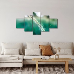 Obraz źdźbła trawy (125x70 cm)
