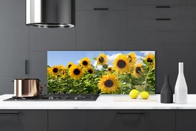 Panel Szklany Złoty Słonecznik w Słońcu