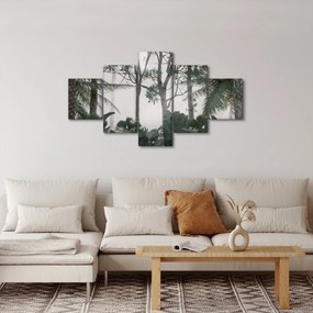 Obraz - dżungla w porannej mgle (125x70 cm)