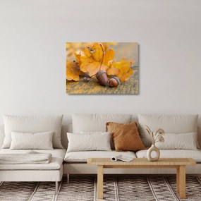 Obraz na szkle - Jesienne żołędzie (70x50 cm)