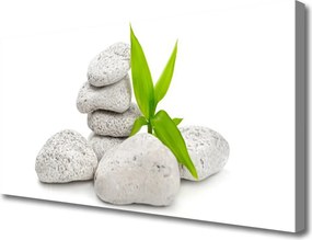 Fotoobraz na płótnie Harmonia Kamieni Rzecznych