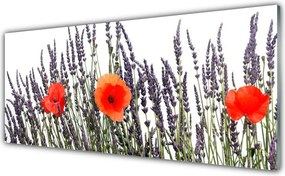 Szkło do Kuchni na Ścianę Maki Tańczące na Wietrze