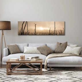 Obraz - Nagie drzewa (170x50 cm)