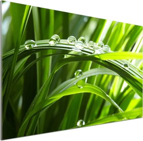 Panel do kuchni Krople na trawie