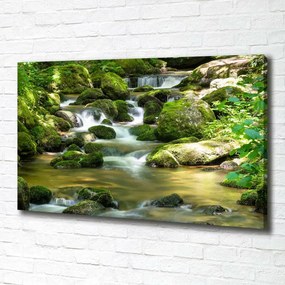 Foto obraz canvas Wodospad
