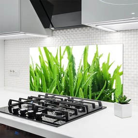 Panel Szklany do Kuchni Soczysta Zielona Trawa