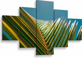 Obraz - Detal liścia palmowego (125x70 cm)
