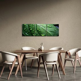 Obraz - Szczegół liścia po deszczu (z zegarem) (90x30 cm)