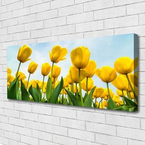 Obraz canvas Pole Tęczowych Tulipanów