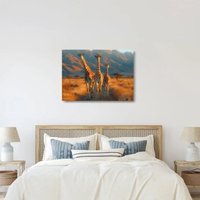 Obraz na szkle - Żyrafy na pastwisku (70x50 cm)