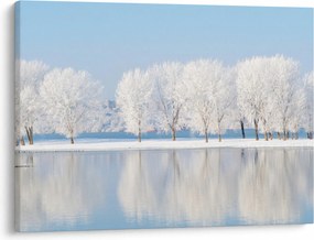 Obraz zimowego krajobrazu (70x50 cm)