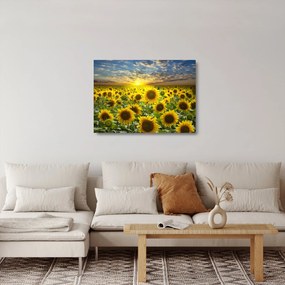 Obraz na szkle - Słoneczniki o zachodzie słońca (70x50 cm)