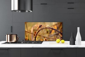 Szkło Ozdobne do Kuchni Ważka Na Roślinie