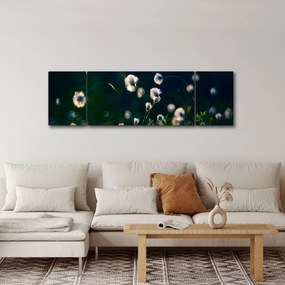 Obraz - Trawa (170x50 cm)
