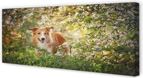 Obraz drukowany na płótnie Pies w Lesie wśród Kwiatów