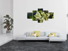 Obraz motyla (125x70 cm)