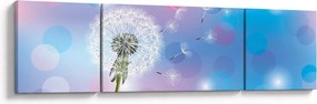 Obraz - Dmuchawiec na wietrze (170x50 cm)