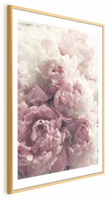 Plakat Delikatne piwonie 29,7x42 cm z ramą złotą z marginesem ARTGEIST B