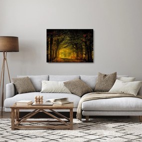 Obraz na szkle lasu (70x50 cm)