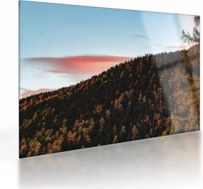 Obraz na szkle rudzików nad wzgórzem (70x50 cm)
