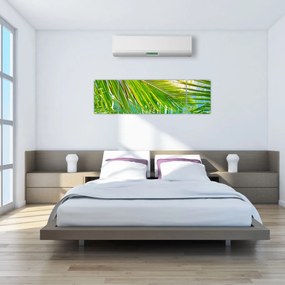 Obraz - Liście palmowe (170x50 cm)