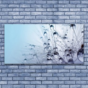 Obraz canvas na ścianę Puszysta Kula Mniszka