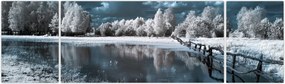 Obraz - Zamarznięty krajobraz (170x50 cm)