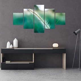 Obraz źdźbła trawy (125x70 cm)