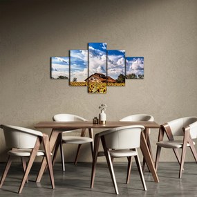 Obraz pola słoneczników (125x70 cm)