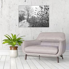 Obraz - Pola w zimie (70x50 cm)