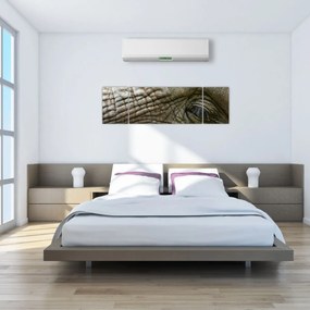 Obraz - Zbliżenie na stare oko słonia (170x50 cm)