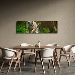 Obraz biegnącego tygrysa (170x50 cm)