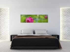 Obraz - roślina wodna (170x50 cm)