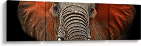Obraz - Słonie z Tsavo (170x50 cm)