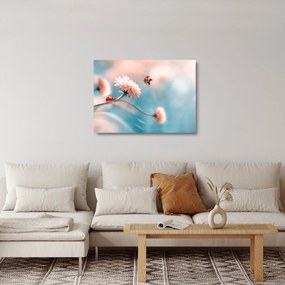 Obraz na szkle - Biedronka na kwiatku (70x50 cm)