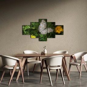 Obraz - biały motyl (125x70 cm)