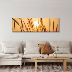 Obraz - Trawa w słońcu (170x50 cm)