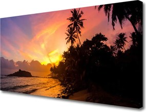 Obraz canvas Zachód Słońca pod Palmami
