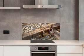 Szklany Panel Krzyż, Skały i Ciernie