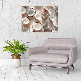 Obraz - Kokosy (70x50 cm)