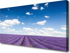 Obraz na płótnie Kwiatowy Dywan na Polanie