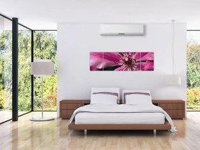 Obraz różowego kwiatu powojnika (170x50 cm)