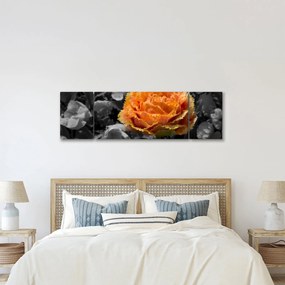 Obraz kwiatu (170x50 cm)