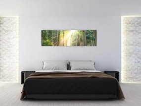 Obraz ścieżki w lesie (170x50 cm)